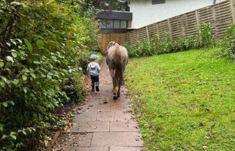 Kind führt ein Pony auf einem Gartenweg entlang, herbstlich grün umgeben.