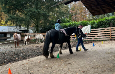 Reittherapie im Hofbereich, Kind auf großem Pferd, farbige Pylonen markieren.