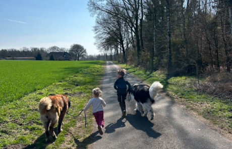 Spaziergang mit zwei Kindenr und Hunden bei sonnigem Wetter